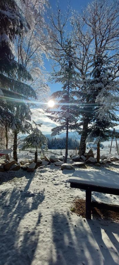 Domek Dorota Z Widokiem Na Gory Lasowka 5Km Do Zieleniec Ski Arena Exterior foto